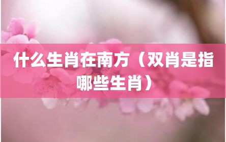 什么生肖在南方（双肖是指哪些生肖）