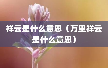 祥云是什么意思（万里祥云是什么意思）