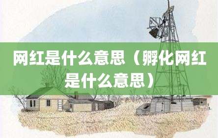 网红是什么意思（孵化网红是什么意思）