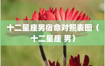 十二星座男宿命对照表图（十二星座 男）