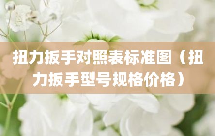 扭力扳手对照表标准图（扭力扳手型号规格价格）