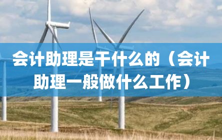 会计助理是干什么的（会计助理一般做什么工作）