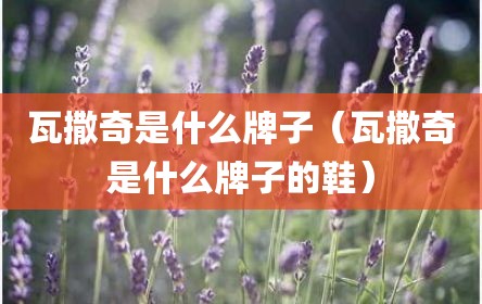 瓦撒奇是什么牌子（瓦撒奇是什么牌子的鞋）