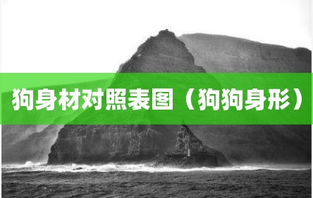 狗身材对照表图（狗狗身形）