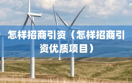 怎样招商引资（怎样招商引资优质项目）
