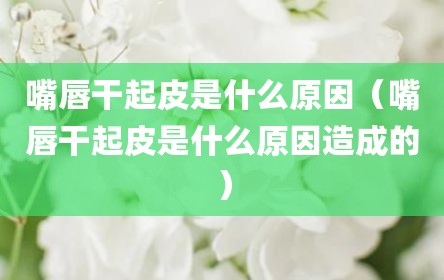 嘴唇干起皮是什么原因（嘴唇干起皮是什么原因造成的）