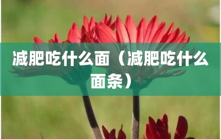 减肥吃什么面（减肥吃什么面条）