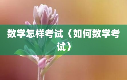 数学怎样考试（如何数学考试）