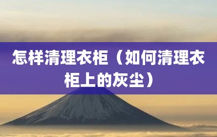 怎样清理衣柜（如何清理衣柜上的灰尘）