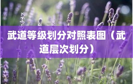 武道等级划分对照表图（武道层次划分）