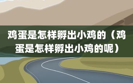 鸡蛋是怎样孵出小鸡的（鸡蛋是怎样孵出小鸡的呢）