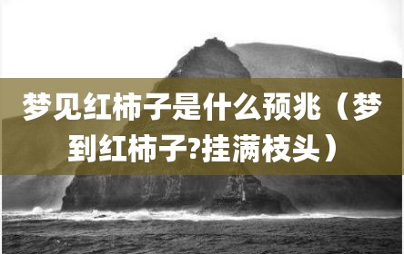 梦见红柿子是什么预兆（梦到红柿子?挂满枝头）