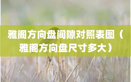 雅阁方向盘间隙对照表图（雅阁方向盘尺寸多大）