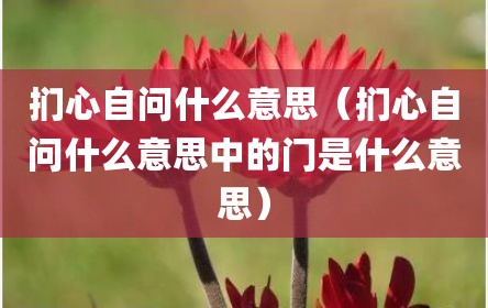 扪心自问什么意思（扪心自问什么意思中的门是什么意思）