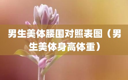 男生美体腰围对照表图（男生美体身高体重）