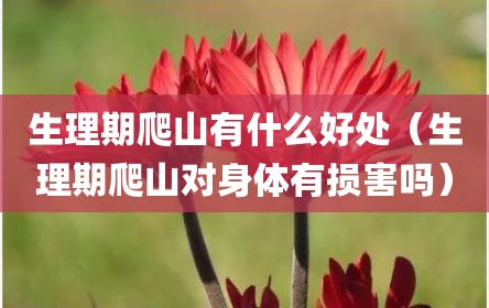 生理期爬山有什么好处（生理期爬山对身体有损害吗）