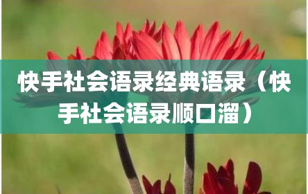快手社会语录经典语录（快手社会语录顺口溜）