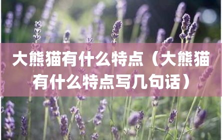 大熊猫有什么特点（大熊猫有什么特点写几句话）