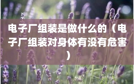 电子厂组装是做什么的（电子厂组装对身体有没有危害）