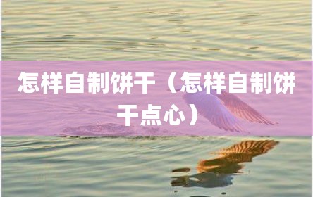 怎样自制饼干（怎样自制饼干点心）
