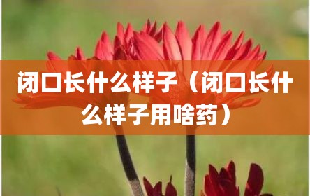 闭口长什么样子（闭口长什么样子用啥药）
