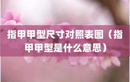 指甲甲型尺寸对照表图（指甲甲型是什么意思）