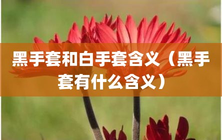 黑手套和白手套含义（黑手套有什么含义）