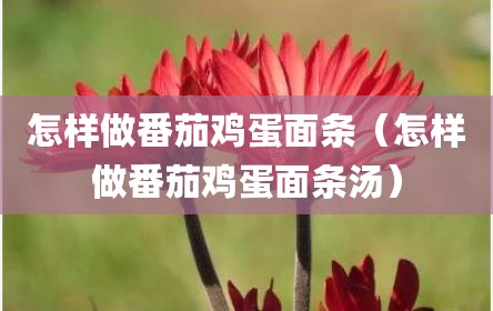 怎样做番茄鸡蛋面条（怎样做番茄鸡蛋面条汤）