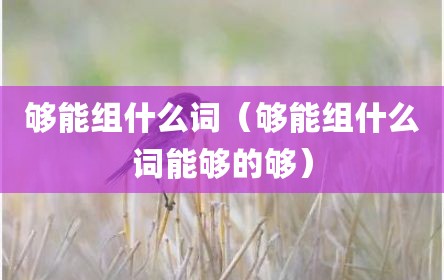 够能组什么词（够能组什么词能够的够）
