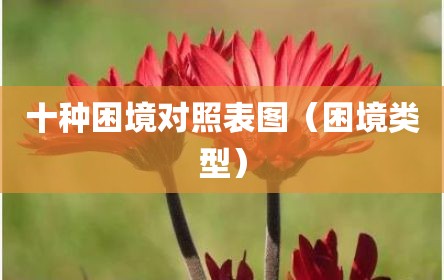 十种困境对照表图（困境类型）