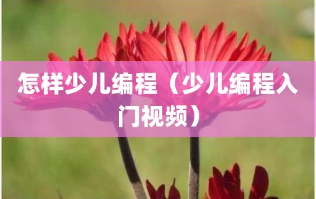 怎样少儿编程（少儿编程入门视频）