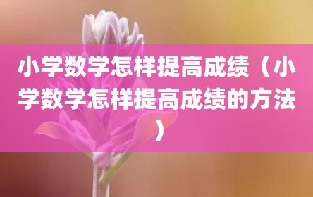小学数学怎样提高成绩（小学数学怎样提高成绩的方法）