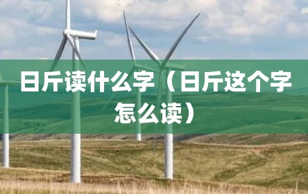 日斤读什么字（日斤这个字怎么读）
