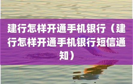 建行怎样开通手机银行（建行怎样开通手机银行短信通知）
