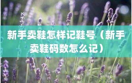 新手卖鞋怎样记鞋号（新手卖鞋码数怎么记）