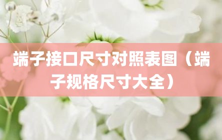 端子接口尺寸对照表图（端子规格尺寸大全）
