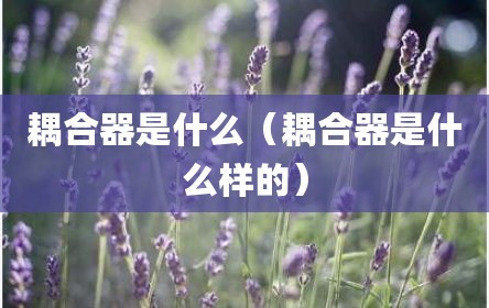 耦合器是什么（耦合器是什么样的）