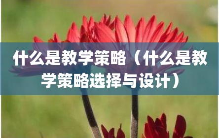 什么是教学策略（什么是教学策略选择与设计）