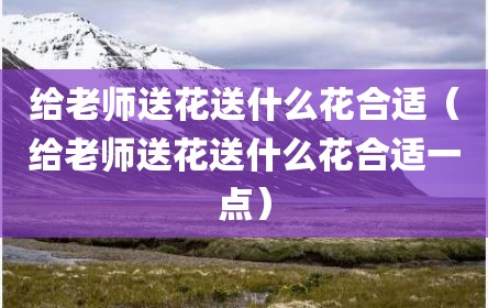 给老师送花送什么花合适（给老师送花送什么花合适一点）