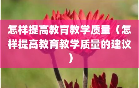 怎样提高教育教学质量（怎样提高教育教学质量的建议）