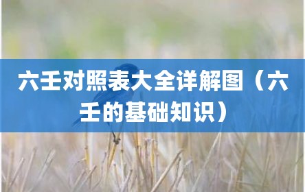 六壬对照表大全详解图（六壬的基础知识）