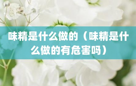 味精是什么做的（味精是什么做的有危害吗）