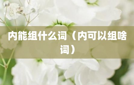 内能组什么词（内可以组啥词）