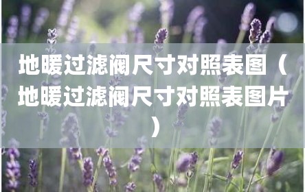 地暖过滤阀尺寸对照表图（地暖过滤阀尺寸对照表图片）