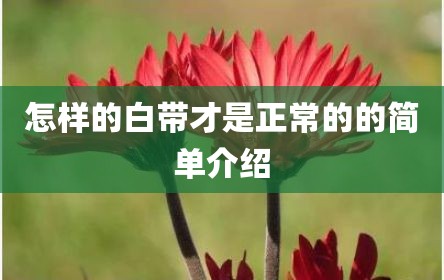 怎样的白带才是正常的的简单介绍