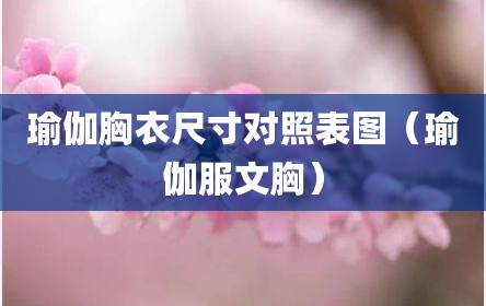 瑜伽胸衣尺寸对照表图（瑜伽服文胸）