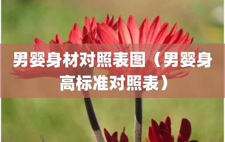 男婴身材对照表图（男婴身高标准对照表）