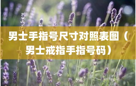男士手指号尺寸对照表图（男士戒指手指号码）