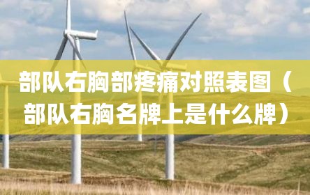 部队右胸部疼痛对照表图（部队右胸名牌上是什么牌）