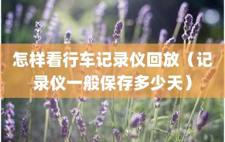 怎样看行车记录仪回放（记录仪一般保存多少天）